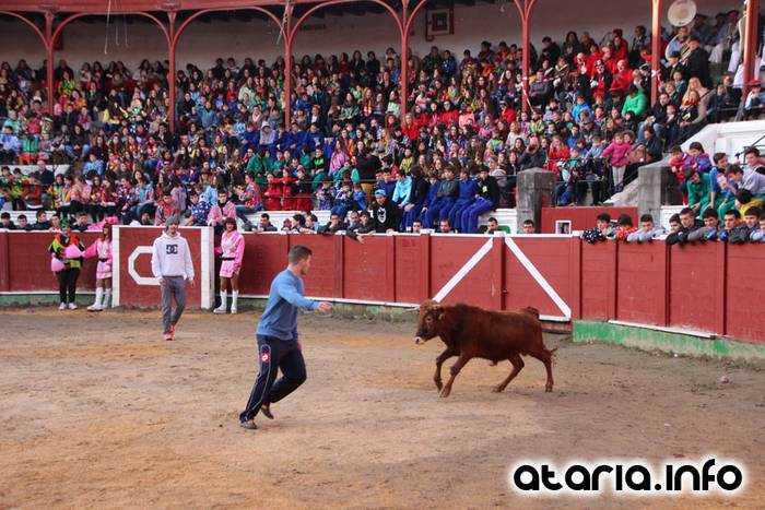 ostegun gizena 2016 zezen plaza 96 1454608291320