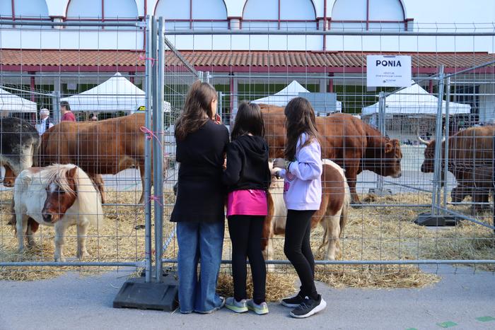 Gaur abiatuko da Berastegiko Kultur Astea