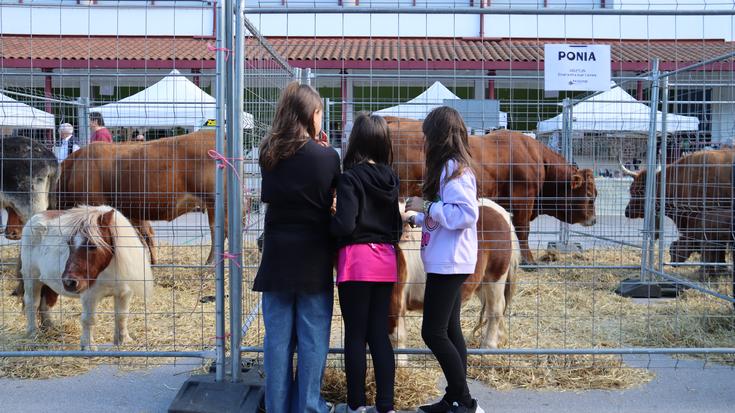 Gaur abiatuko da Berastegiko Kultur Astea