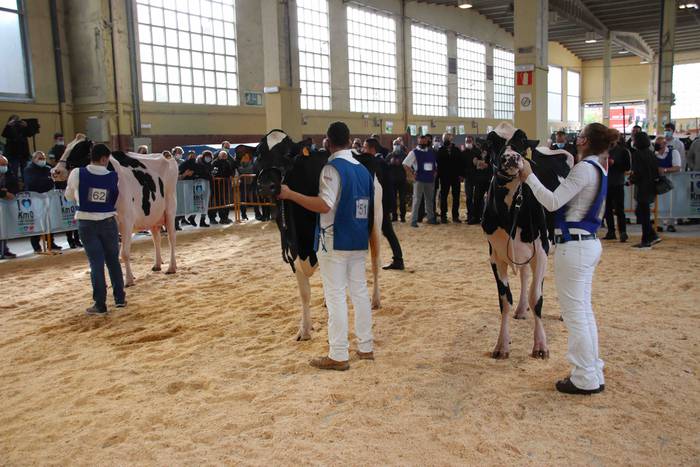 XII. Euskal Herriko Frisoi T 21 1637418672577