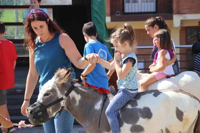 Festak hasteko, poniak eta z 7 1566993968075