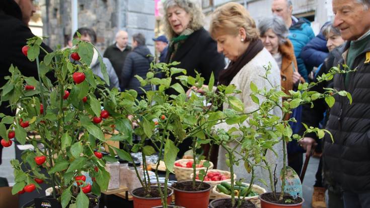 Pasahitza, 2026-01-27