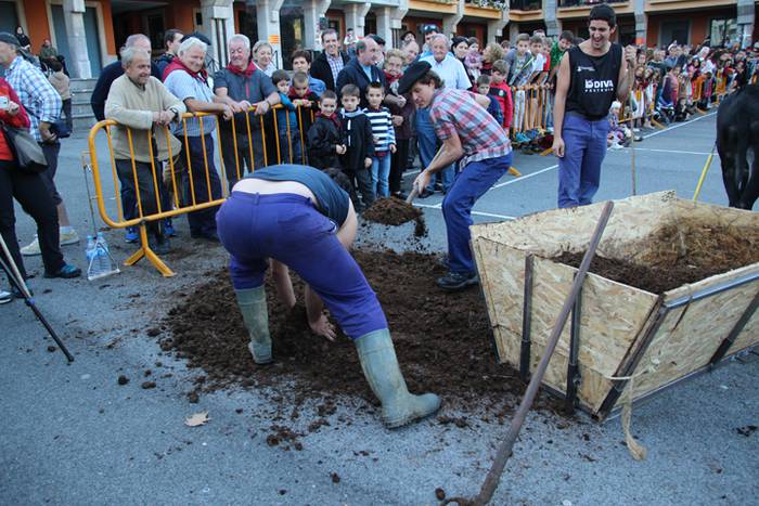 Gazteak nagusi, ximaurra gar 24 1507490538693