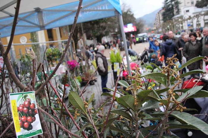 Erein eta zaintzearen magiak 4 1581165923922