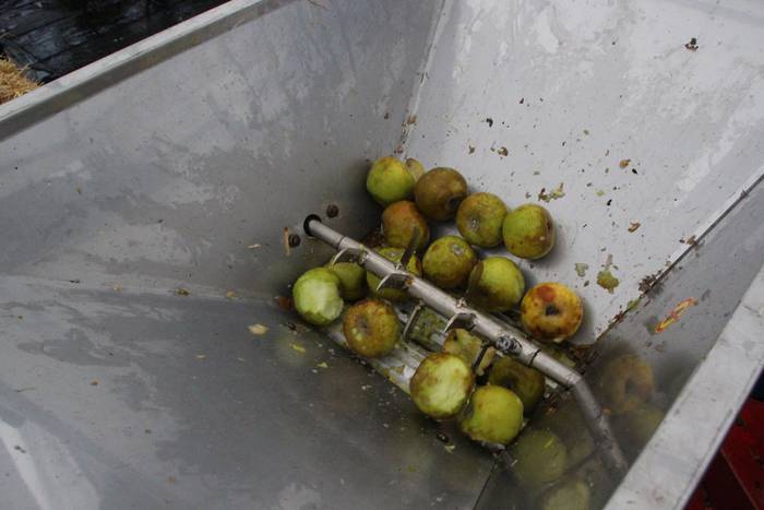 Zuhaitz Azoka Tolosan 2016 14 1456601470489