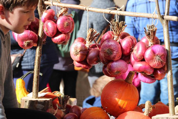 Denetik eta denentzat, Bedai 26 1541343496933