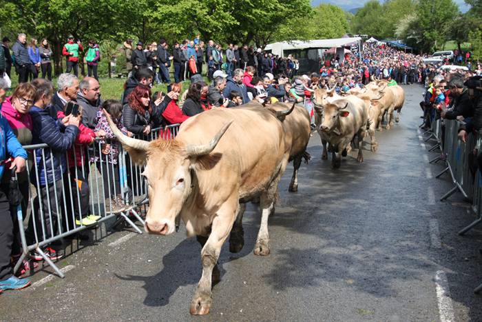 Maiatzak 1, Larre Irekiera E 21 1525187052448