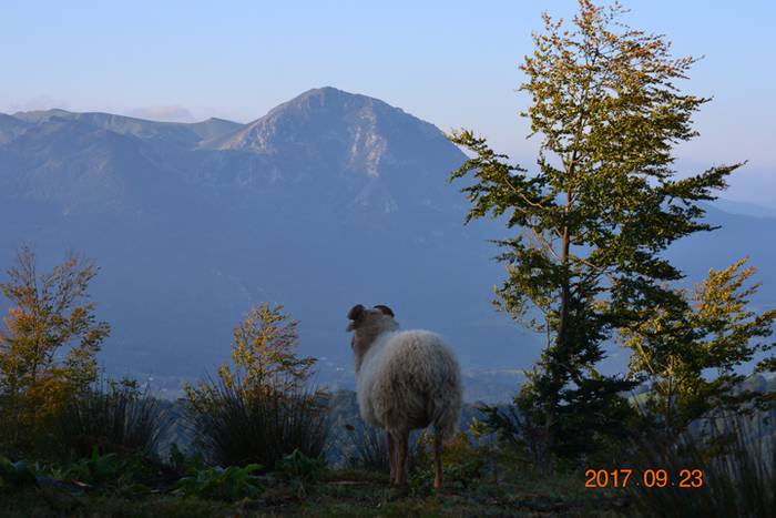 III. Mendiz Mendi Etxera 10 1506346520313
