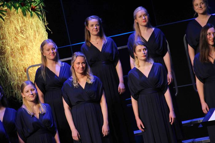 Tolosako Abesbatz Lehiaketa  17 1541348979954