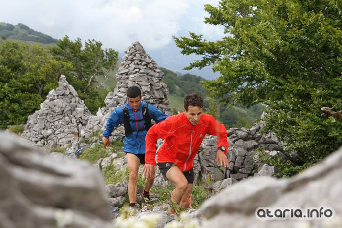 T3T tontor 2016 hernio 23 1466351079575