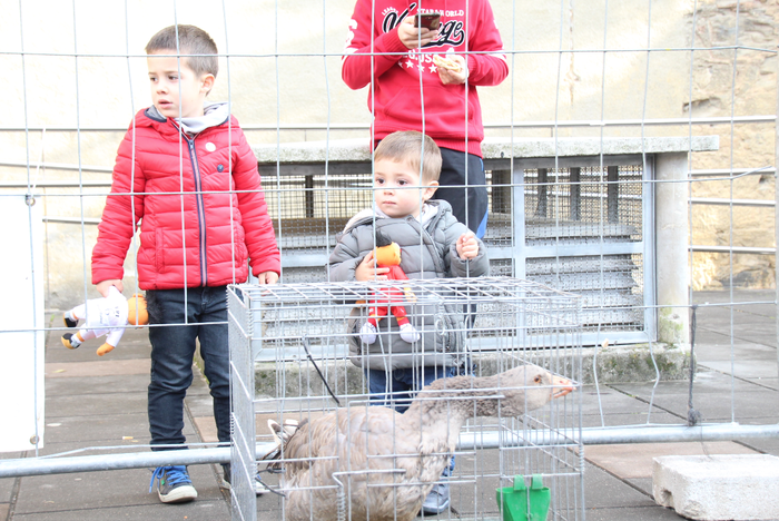 Urteko azken azoka berezia gurtu du Tolosak 5 1481985894239