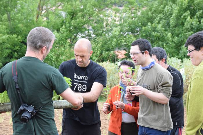 Piper landaketa uzturpe gureak  789 taldea 34 1464793778889