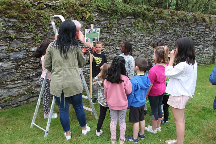 Txakur kakak jasotzeko karte 30 1653302378349