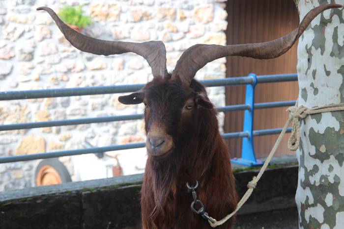 Herritarren salerosketarako  3 1509290143921