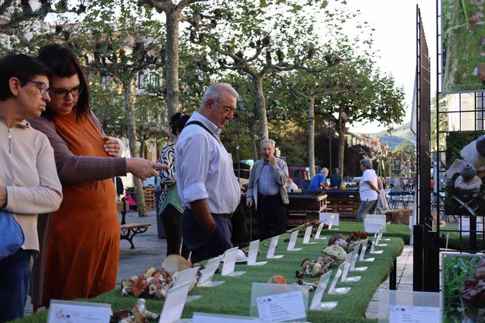 Perretxikoen plaza 12 1666439564872