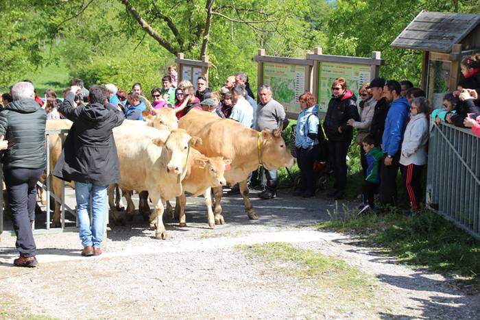 Larre irekiera Larraitzen 20 77 1493640130297