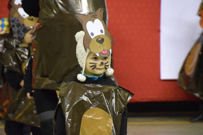 Irura, inauteriak 2018 13 1517997811370