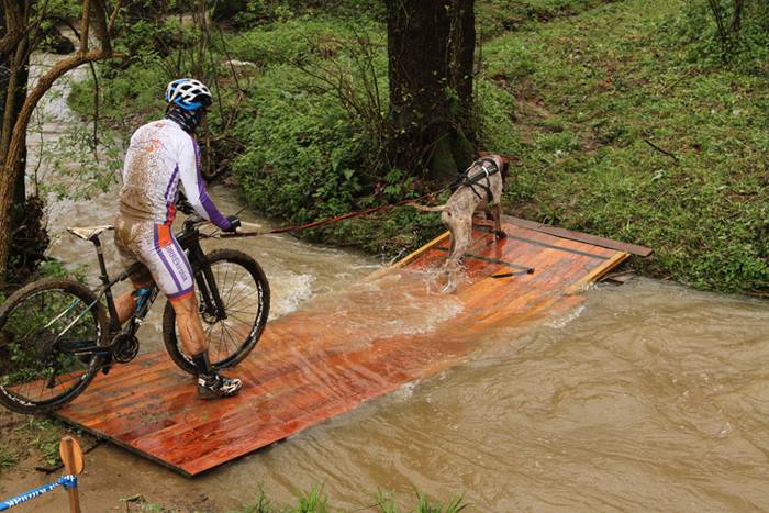 Zizurkil, txakur krosa 11 1490473863216