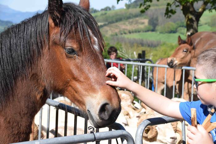 Larrerati dituzte abereak Ar 7 1556716243407