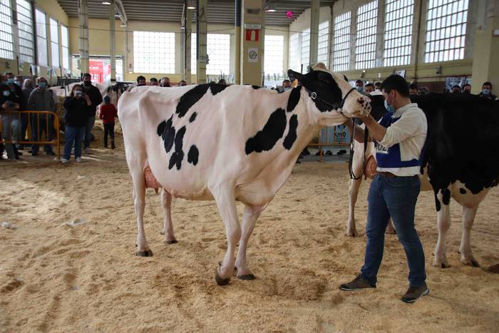 XII. Euskal Herriko Frisoi T 24 1637418673886