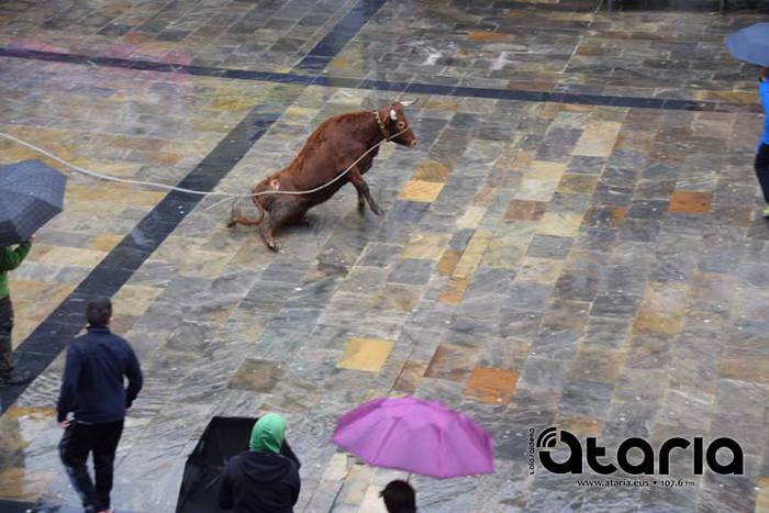 Inauteriak 2018, sokamuturra 27 1518437948608