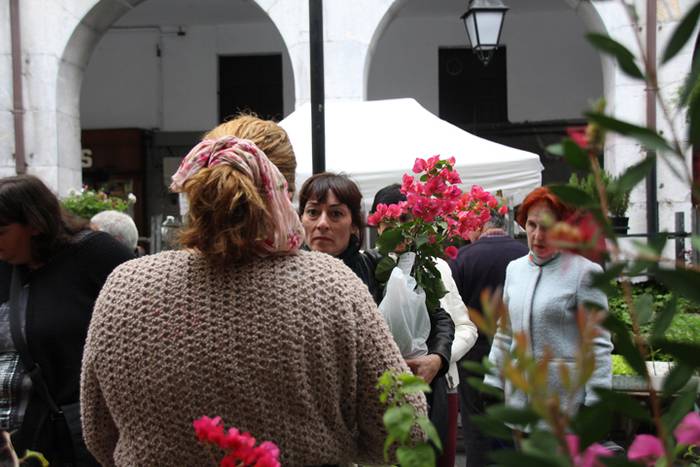 Eta liliek Tolosa ere amets 18 1495290293535