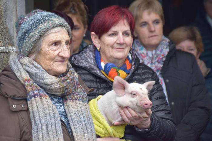 Animaliek jaso dute San Anto 9 1547722506720