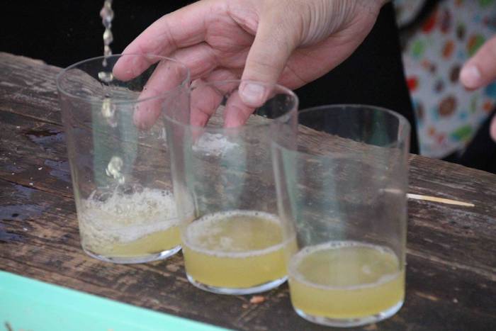 Berrobi San Agustin jaiak 20 30 1535480022085