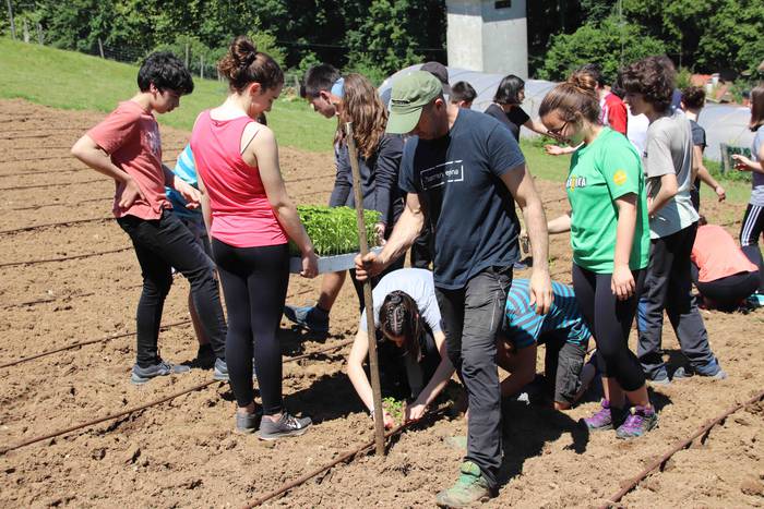 Erein dituzte lehen piperrak 9 1559303462182