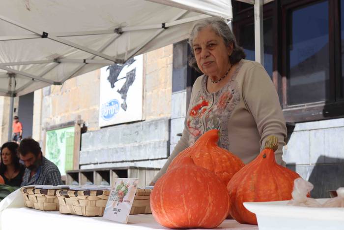 Zizurkilgo herrigunea azoka  8 1665320433296