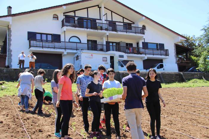 Erein dituzte lehen piperrak 14 1559303466136