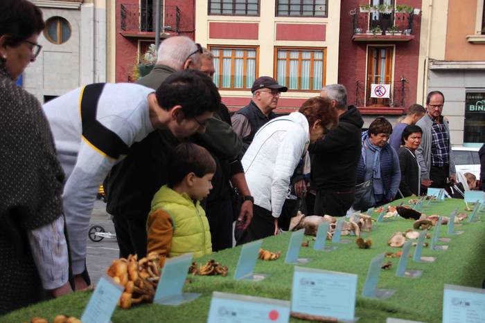 5.000 kilo txanpinoi saltsan 18 1571486538445