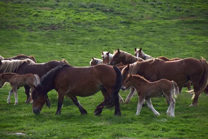 BERASTEG LARRE IREKIERA 2022 13 1652525077456