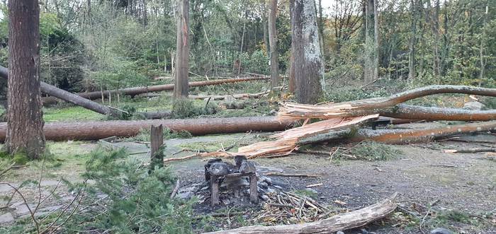 Errepidek 8 1603266691714