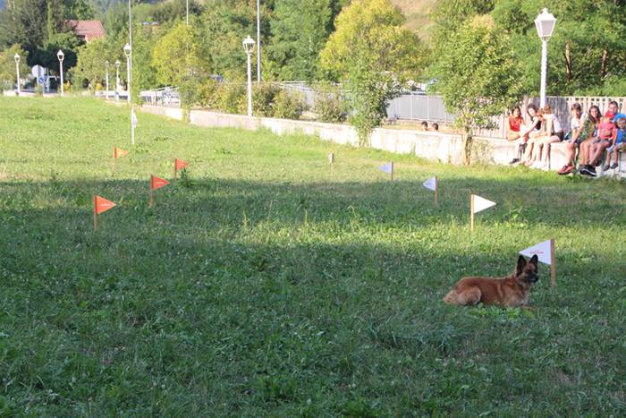 Artzaina eta txakurraren artea Amezketan 36 1472322551265