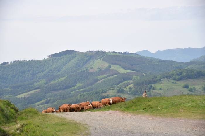 BERASTEG LARRE IREKIERA 2022 17 1652525078154