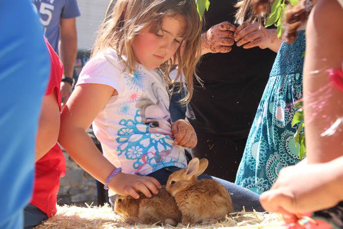 Udaberriko azoka Berrobin 55 1494770713816