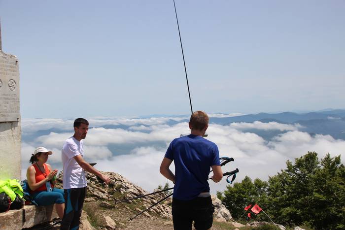 T3T 2022 hernio 49 1655039376376