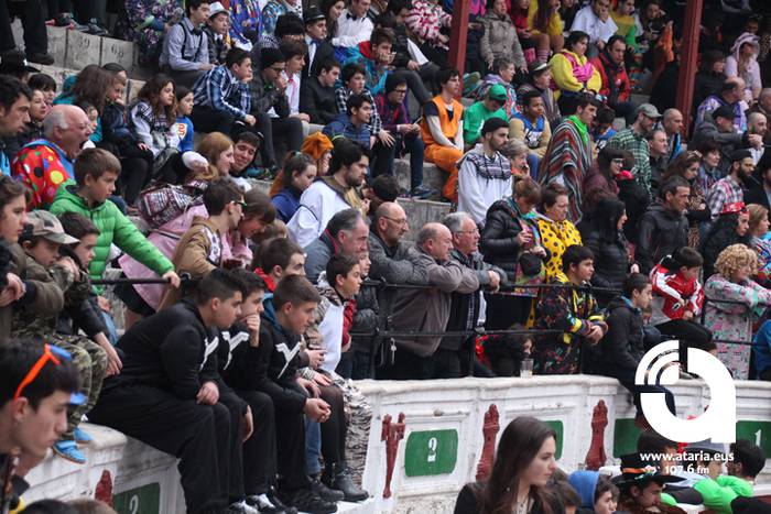 Zezenak adarrak okerrak ditu 36 1488277361666