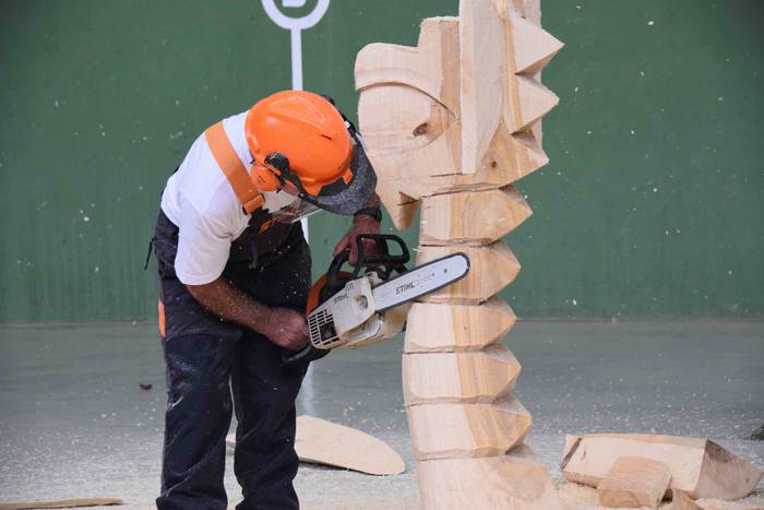 Larraul san bartolome eguna  14 1535187581097