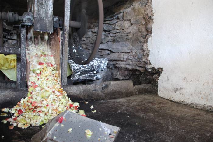 Sagarraren zukua, upelera 7 1477475708567