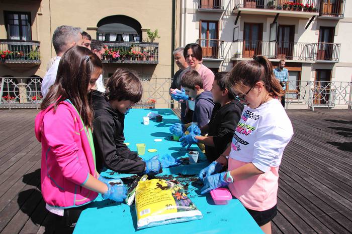 Tolosako Babarruna erein da 12 1559904704057