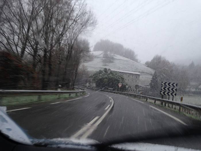 ELURRA 2017 AZAROA 14 1512123702299