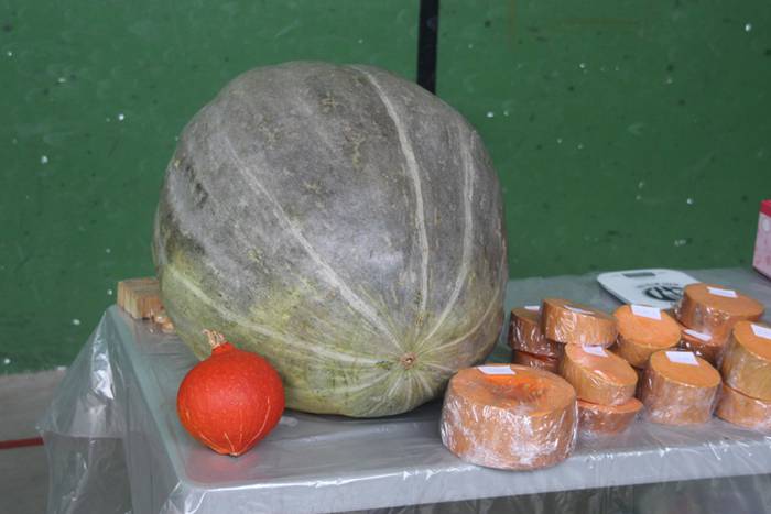 Baratzeak eta tailerrak, fro 10 1509287225803