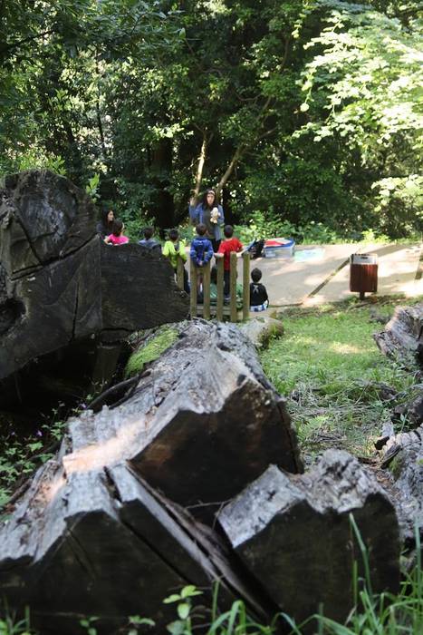 Elosegi parkeko biodibertsit 20 1559225134768