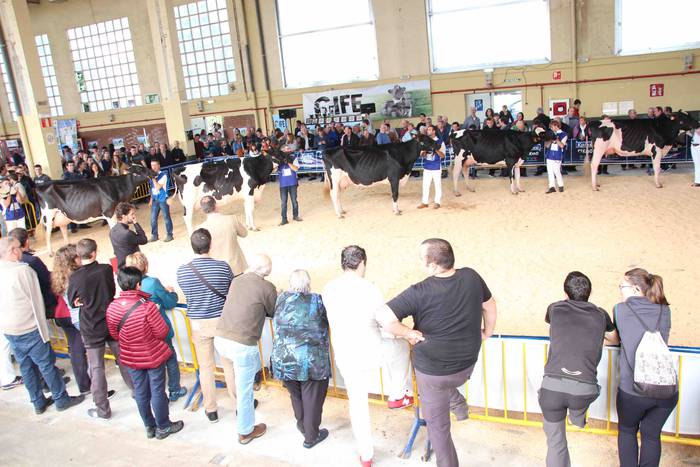 X. Euskal Herriko Frisoi Txa 4 1542479351538