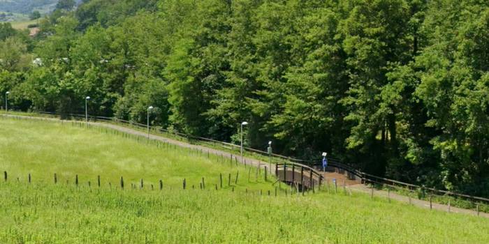 Zizurkil-Asteasu bidegorria berritzeko lanak egingo dituzte astelehenetik aurrera