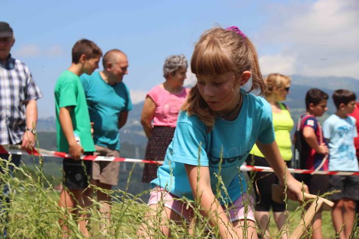 Erabaki dira Euskal Herriko  82 1532871202769