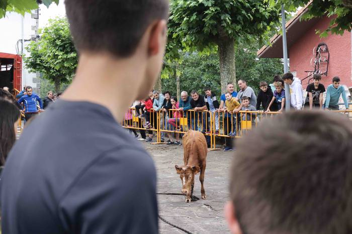 Zezen txikien aurretik 7 1656263613491