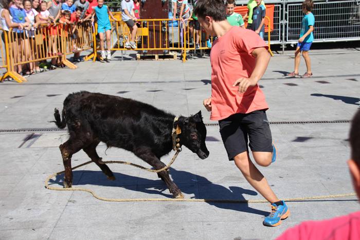 Gazteen festa egarriak ez du etenik 21 1472122546172